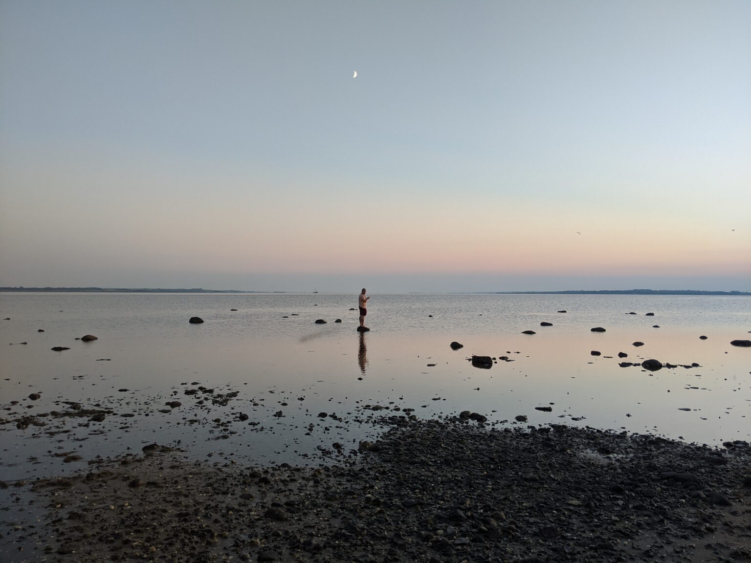 Egholm Egholm Vestergaard